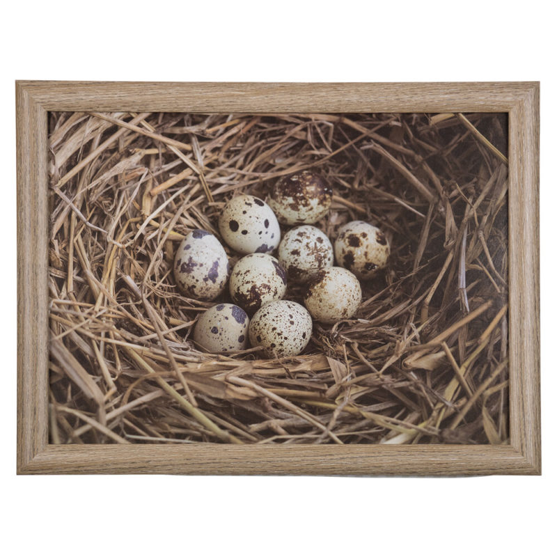 Schootkussen Eieren In Nest 43cm* Mars & More